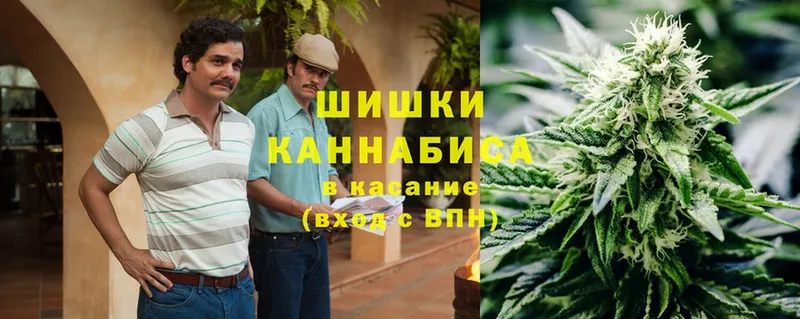 Бошки марихуана OG Kush  Иннополис 